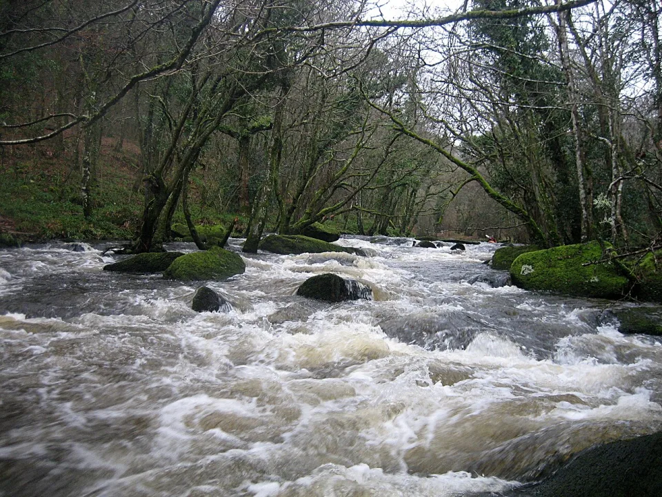River Teign — ChrisHodgesUK / Wikimedia Commons / CC BY-SA 3.0