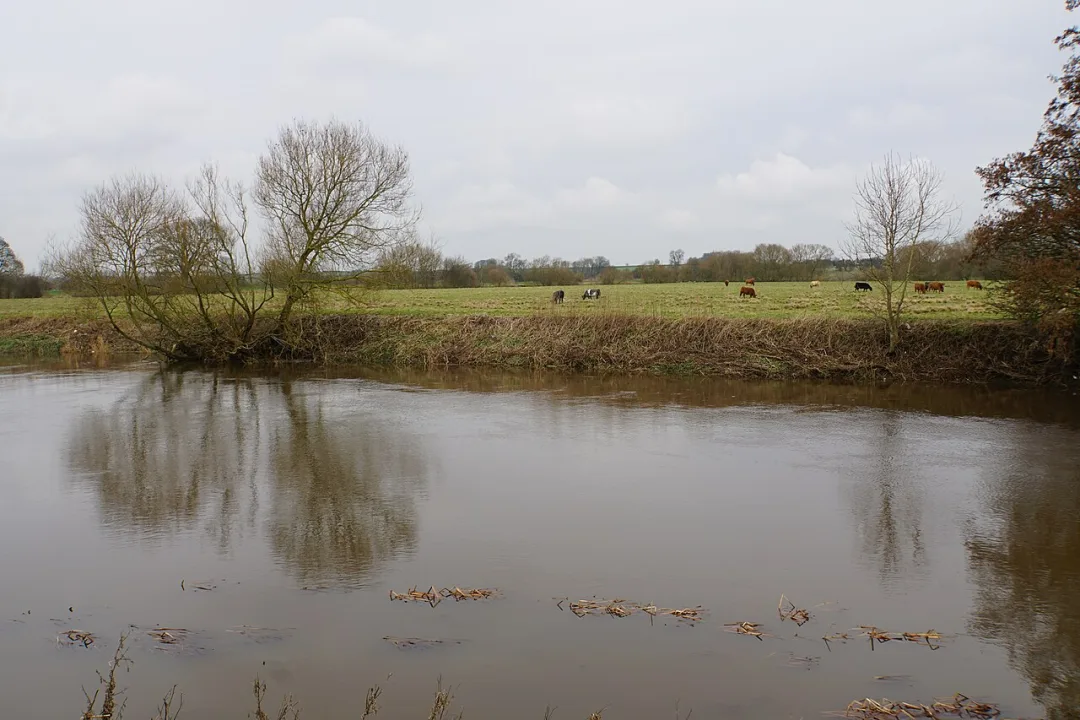 River Wharfe — Bill Boaden  / Wikimedia Commons / CC BY-SA 2.0