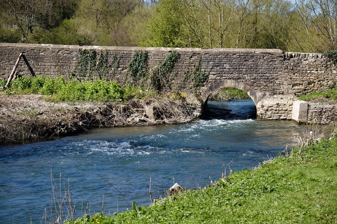 River Windrush — Acabashi / Wikimedia Commons / CC BY-SA 4.0
