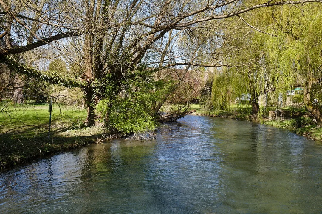 River Windrush — Acabashi / Wikimedia Commons / CC BY-SA 4.0
