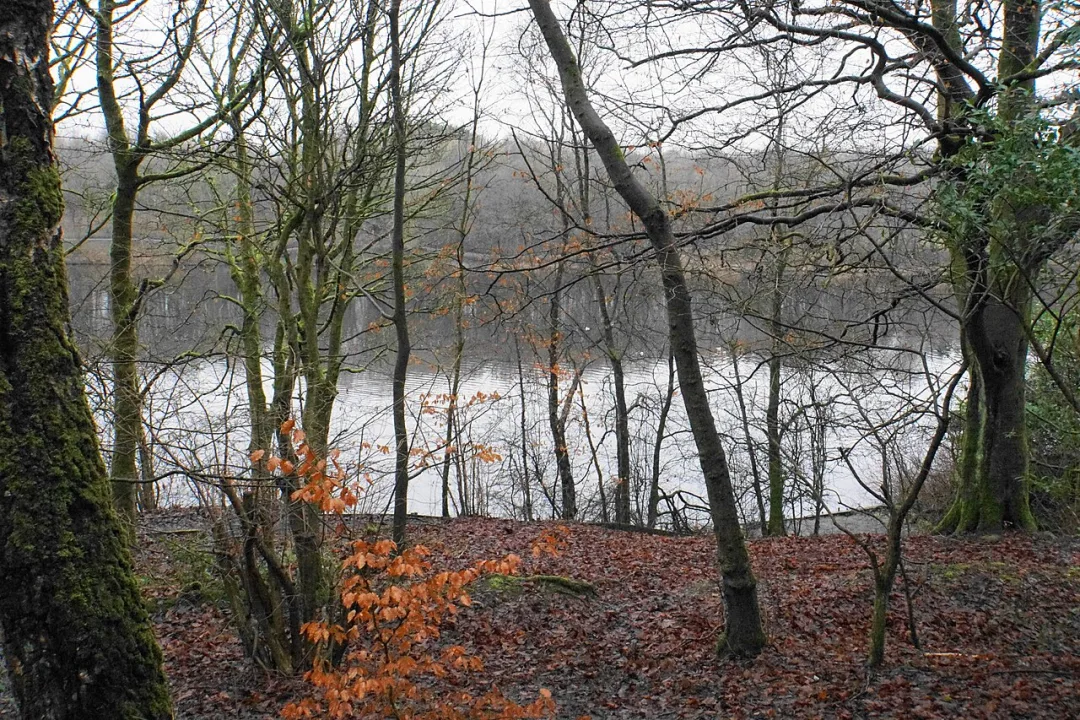 Rowley Lake — Bill Boaden  / Wikimedia Commons / CC BY-SA 2.0
