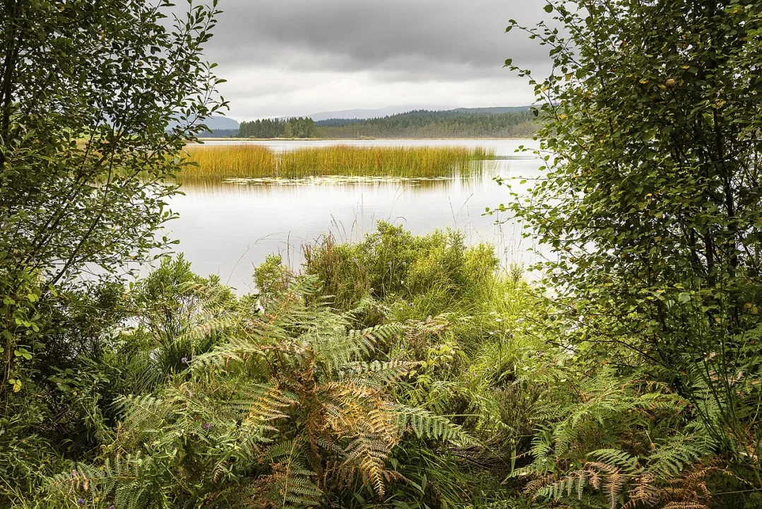 Stroan Loch — James Johnstone from Ecclefechan, Scotland / Wikimedia Commons / CC BY 2.0