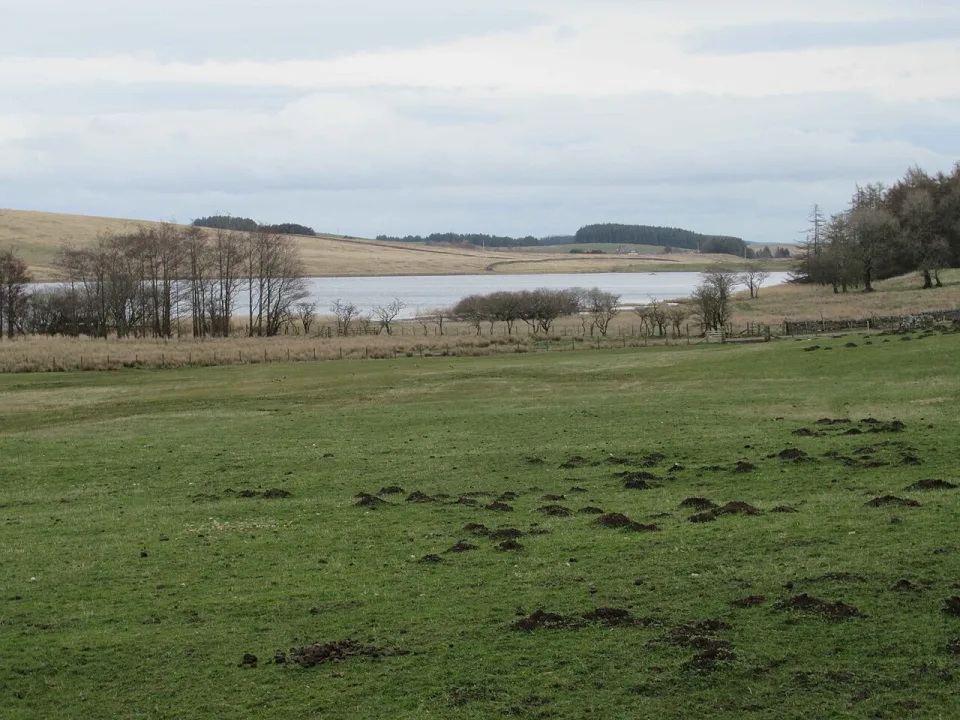 Tindale Tarn — Les Hull  / Wikimedia Commons / CC BY-SA 2.0