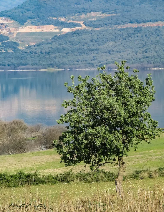 Lake Amvrakia — Gsnianias / Wikimedia Commons / CC BY-SA 4.0