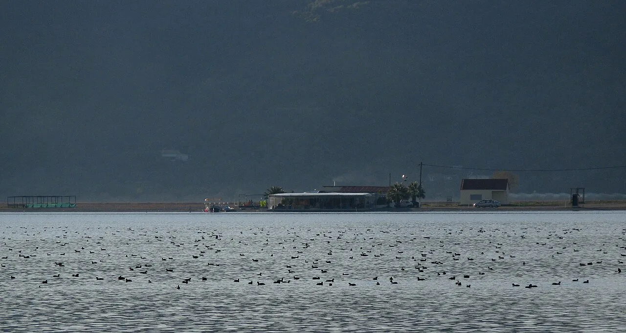 Messolongi Lagoon — Dimosthenis Eleftheriadis / Wikimedia Commons / CC BY-SA 4.0