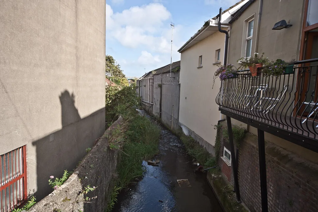 Bracken River — William Murphy from Dublin, Ireland / Wikimedia Commons / CC BY-SA 2.0