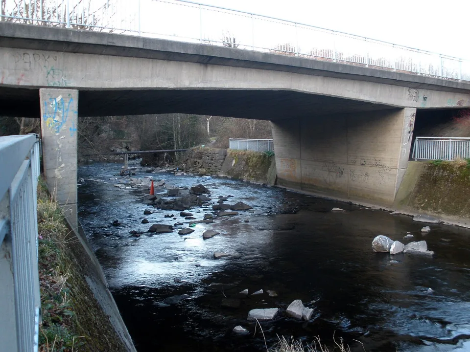 Dodder — User:O'Dea / Wikimedia Commons / CC BY-SA 4.0