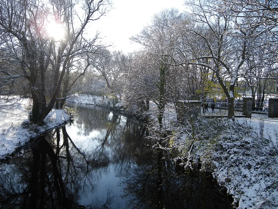 Dodder — Cqui / Wikimedia Commons / CC BY-SA 3.0