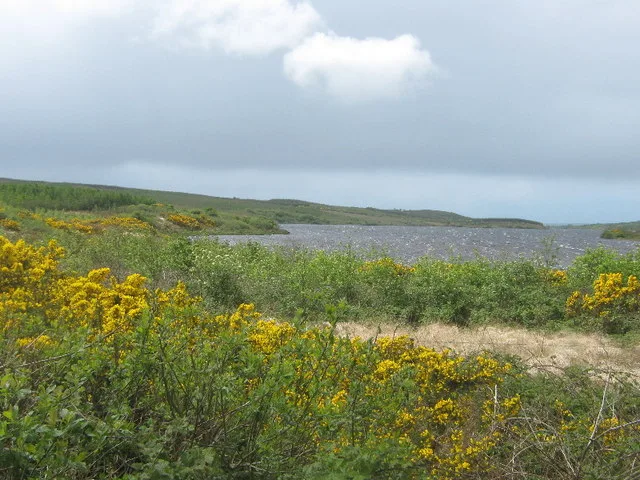 Lickeen Lough — David Medcalf / Wikimedia Commons / CC BY-SA 2.0
