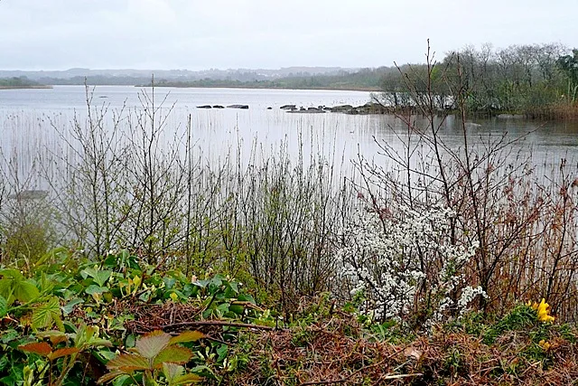 Loch Bhaile Uí Chuirc — Graham Horn / Wikimedia Commons / CC BY-SA 2.0