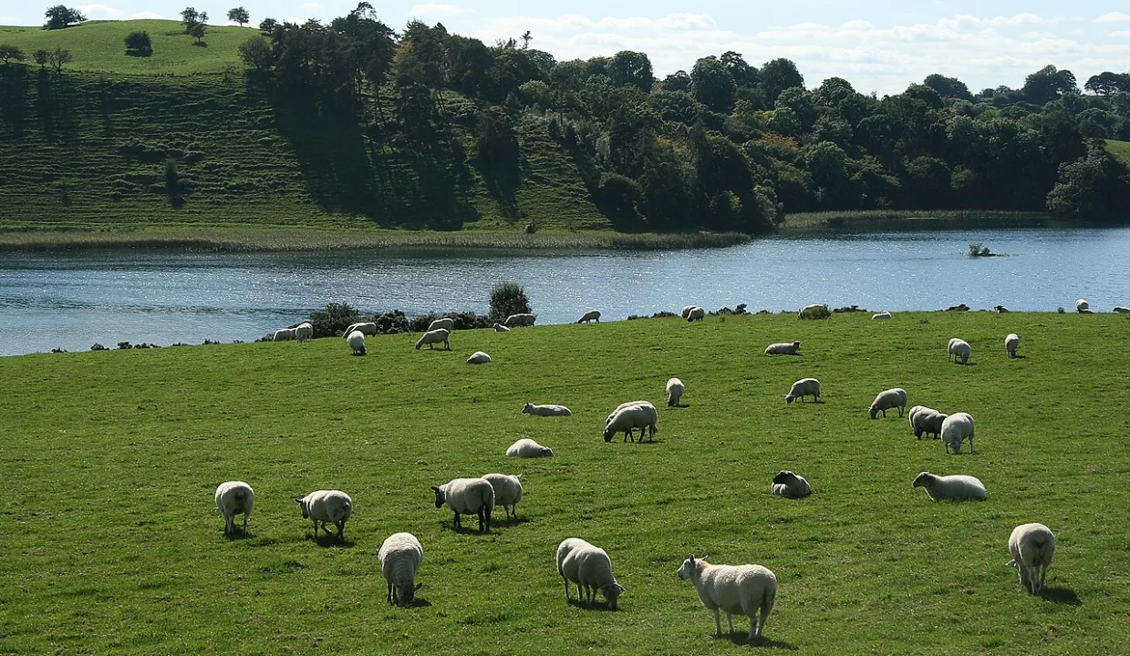 Lough Bane — Sarah777 at en.wikipedia / Wikimedia Commons / Public domain