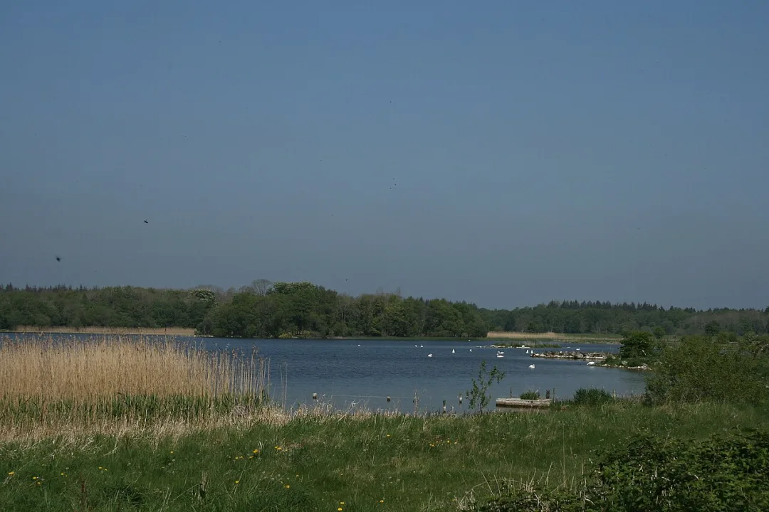 Lough Ennell — Sarah777 at English Wikipedia / Wikimedia Commons / Public domain