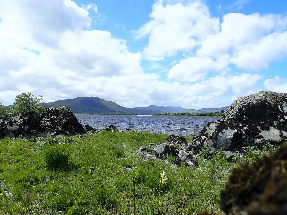 Lough Mask — Limnoporus / Wikimedia Commons / CC BY-SA 4.0