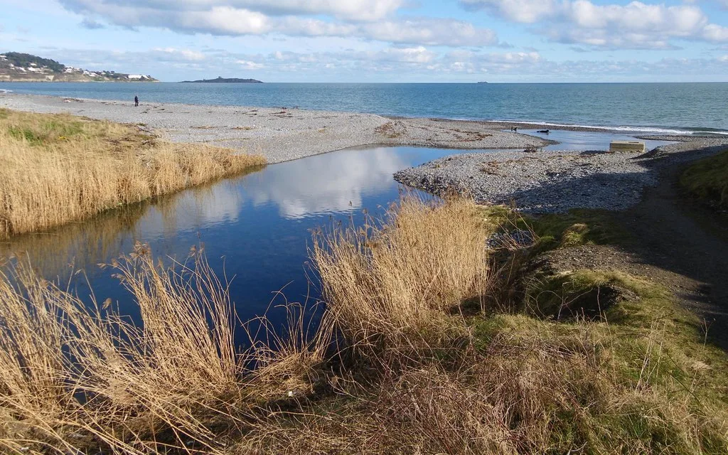 Loughlinstown River — jwd / Wikimedia Commons / CC BY-SA 2.0
