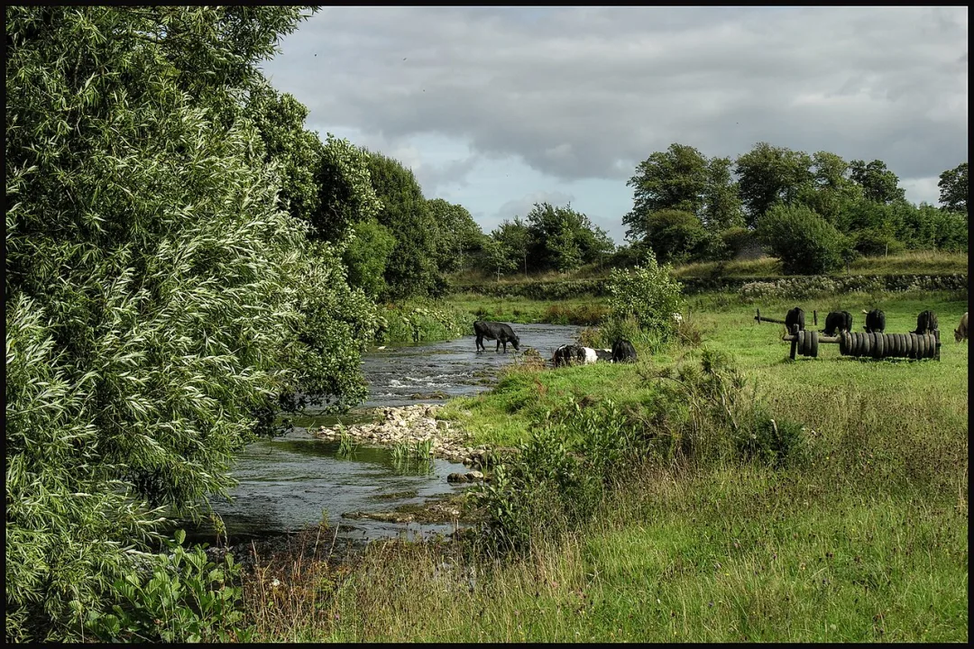 Nenagh River — Petr Kraumann / Wikimedia Commons / CC BY 3.0