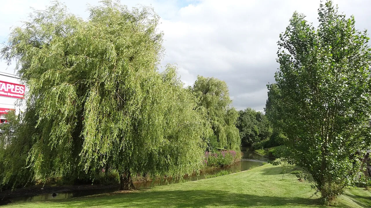 Newport River — Editor5807 / Wikimedia Commons / CC BY-SA 4.0