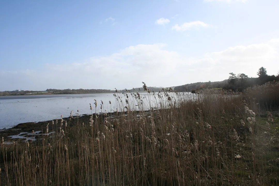 Owenabue — Andrew Wood  / Wikimedia Commons / CC BY-SA 2.0