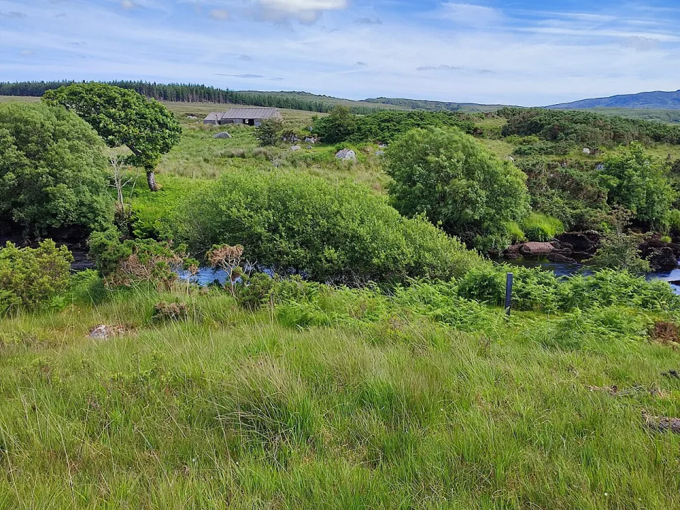Owenea — Robert Bone  / Wikimedia Commons / CC BY-SA 2.0