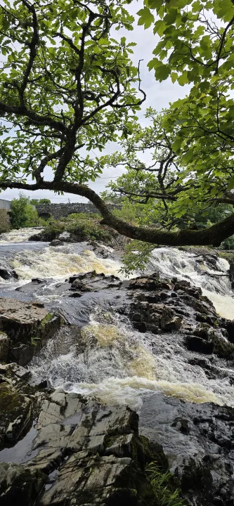 Owenglin River — Qwertzu111111 / Wikimedia Commons / CC BY-SA 4.0