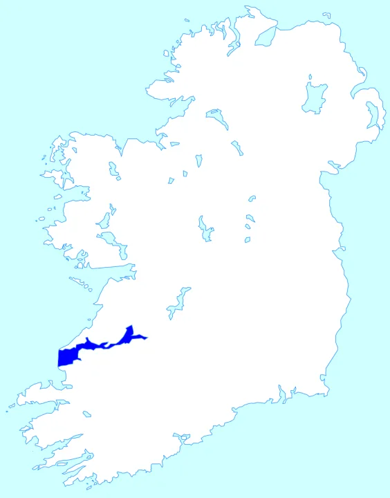 Shannon Estuary — User:Asarlaí / Wikimedia Commons / CC BY-SA 4.0