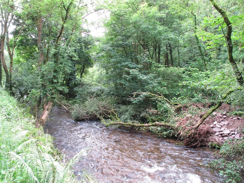 Shournagh — David Hawgood  / Wikimedia Commons / CC BY-SA 2.0