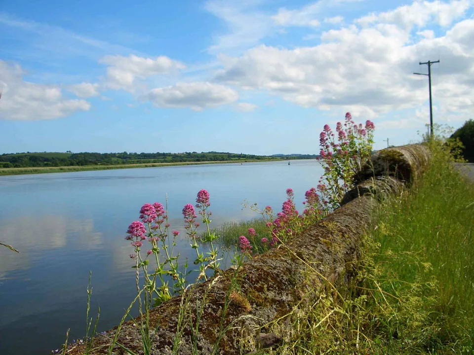 Suir — Benutzer:Chieggie / Wikimedia Commons / Public domain