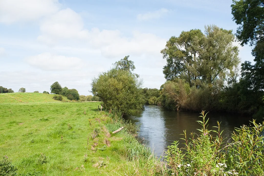 Suir — Andreas F. Borchert / Wikimedia Commons / CC BY-SA 4.0
