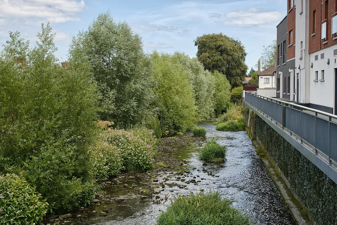 Tolka — Chris Rycroft / Wikimedia Commons / CC BY 2.0