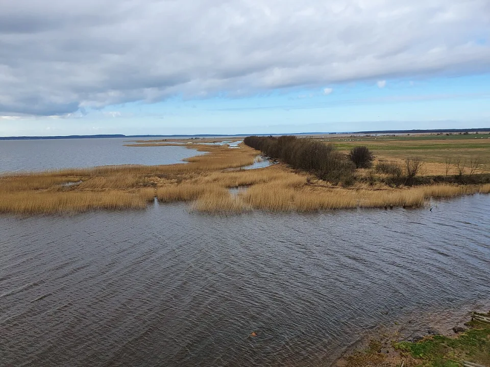 Dreverna — Kusurija / Wikimedia Commons / CC BY-SA 4.0