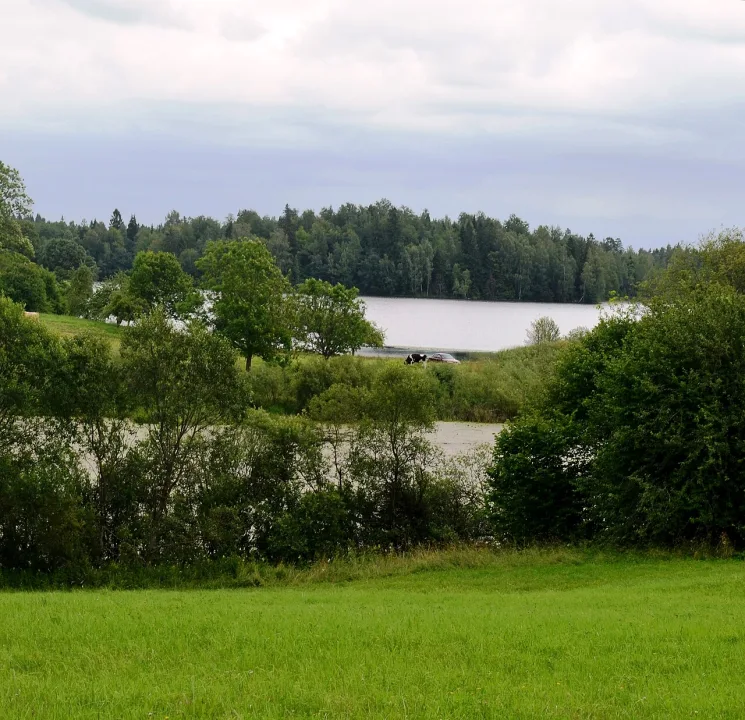 ež. Dievytis — Šarūnas Šimkus / Wikimedia Commons / Public domain