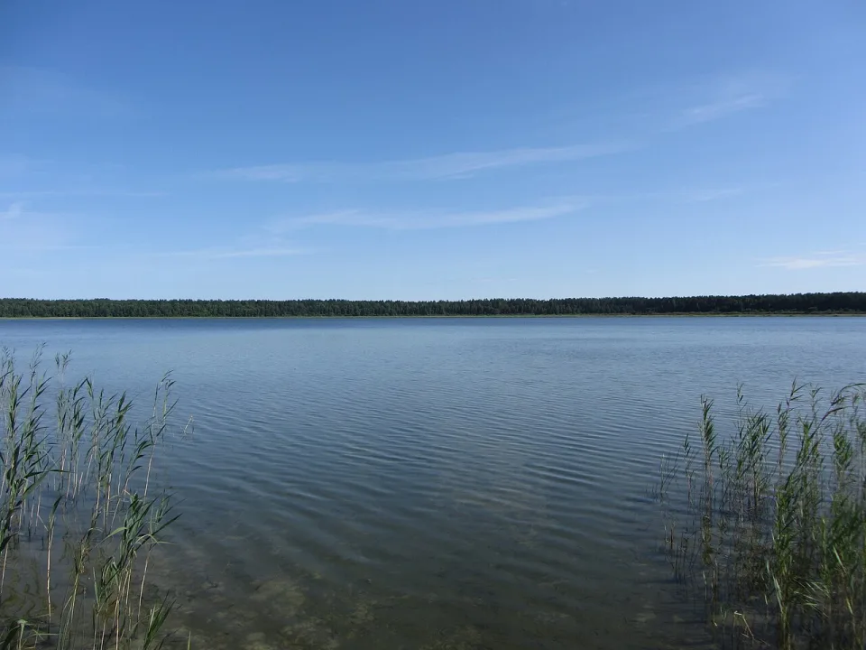ež. Glėbas — VietovesLt / Wikimedia Commons / CC BY 3.0