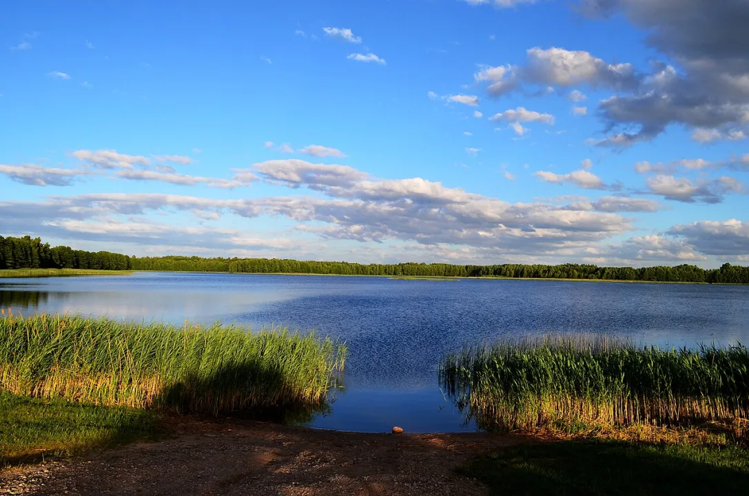 ež. Ilgis — Šarūnas Šimkus / Wikimedia Commons / Public domain
