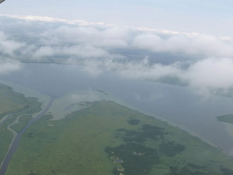 ež. Krokų lanka — Emka1 / Wikimedia Commons / Public domain