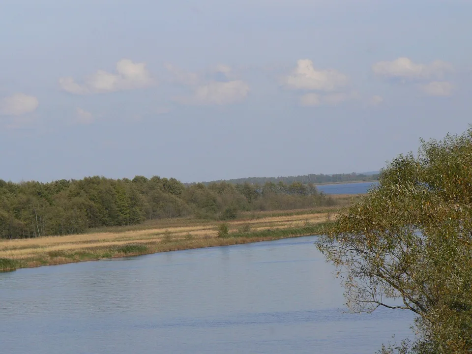 ež. Krokų lanka — Kusurija / Wikimedia Commons / CC BY 3.0
