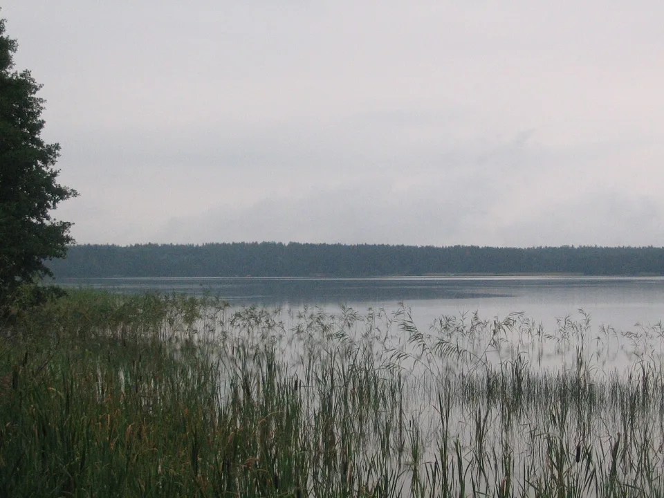 ež. Lavysas — The original uploader was Leia at Lithuanian Wikipedia. / Wikimedia Commons / Public domain