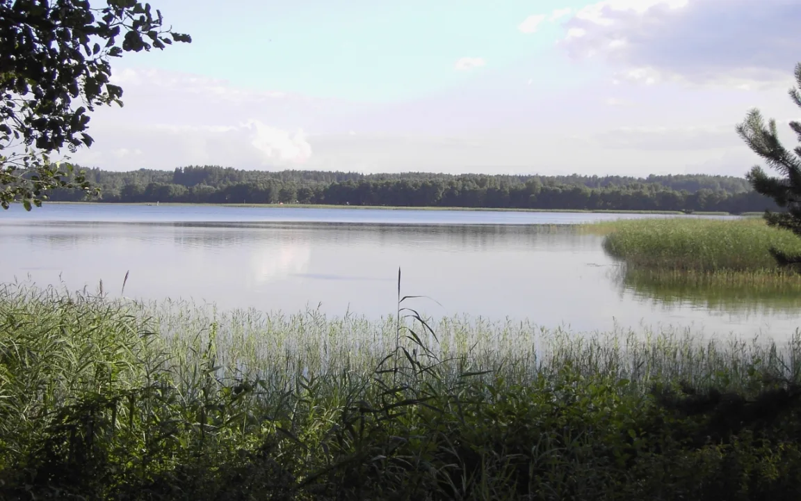 ež. Luodis — Indraja / Wikimedia Commons / CC BY-SA 3.0