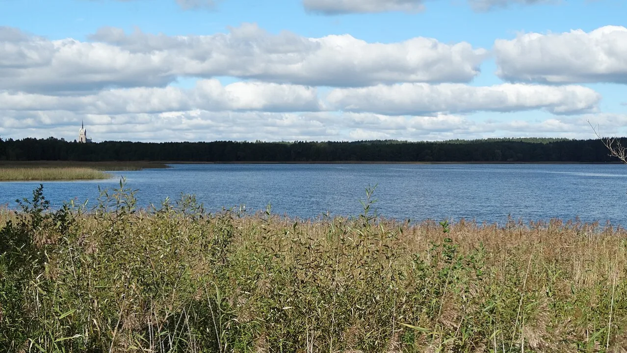 ež. Luodis — Vilensija / Wikimedia Commons / CC BY-SA 3.0