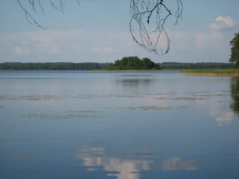 ež. Samavas — VietovesLt / Wikimedia Commons / CC BY 3.0