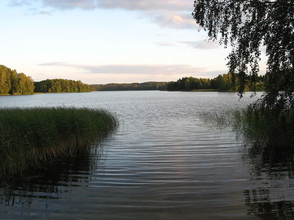 ež. Zarasas — Reinis Lācis / Wikimedia Commons / CC BY-SA 3.0
