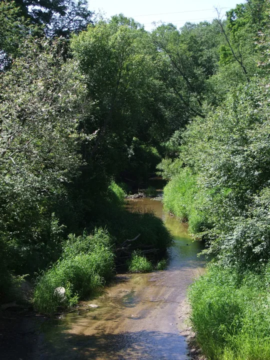 Ežeruona — Alta Falisa / Wikimedia Commons / CC BY-SA 4.0