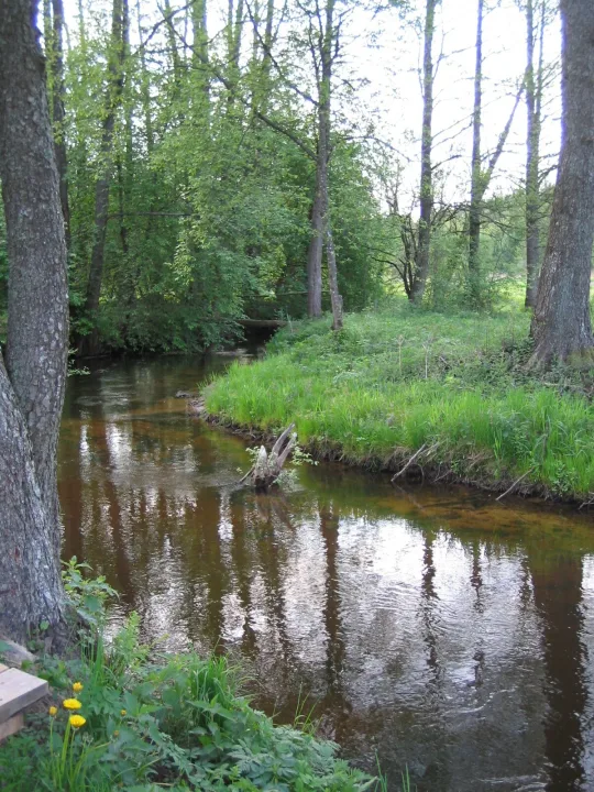 Grūda — The original uploader was CD at Lithuanian Wikipedia. / Wikimedia Commons / CC BY-SA 3.0