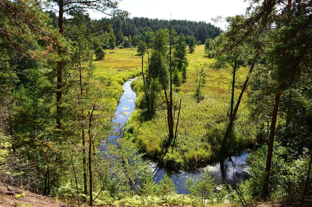 Grūda — Šarūnas Šimkus / Wikimedia Commons / Public domain