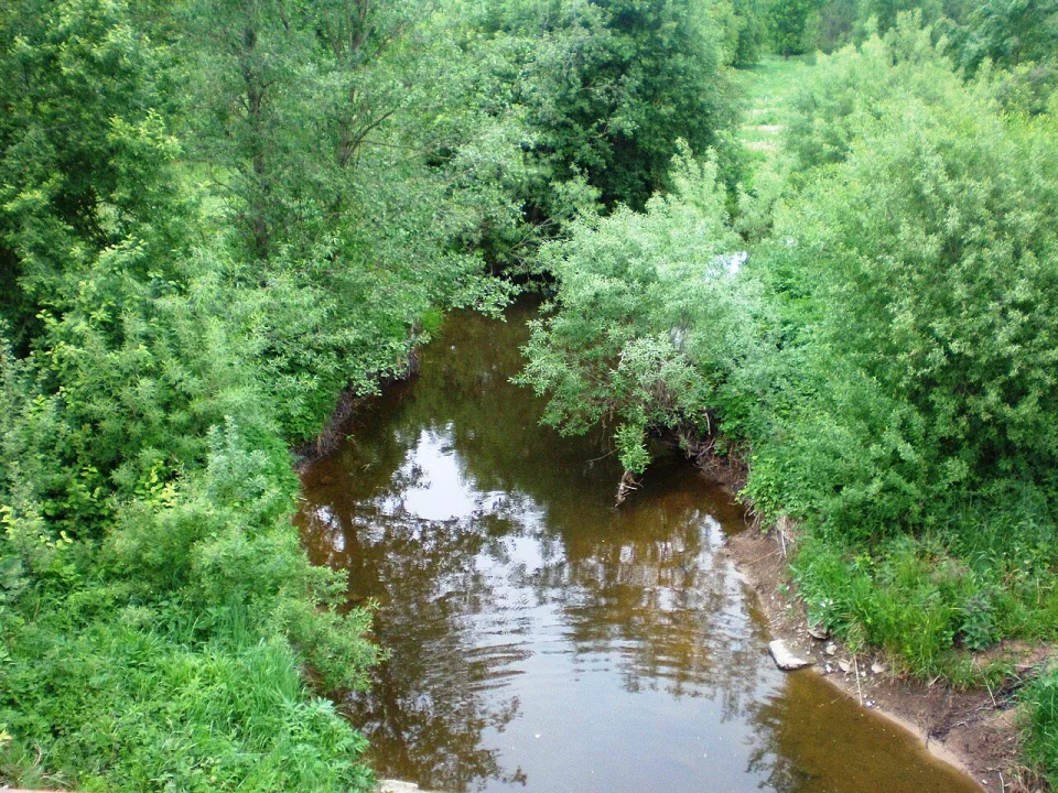 Gynėvė — Hugo.arg / Wikimedia Commons / CC BY-SA 3.0
