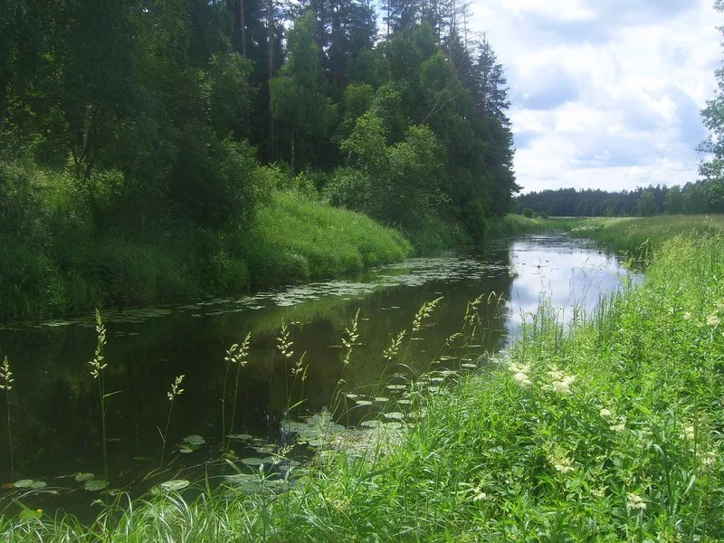Jara — Jodkovska / Wikimedia Commons / CC BY-SA 4.0