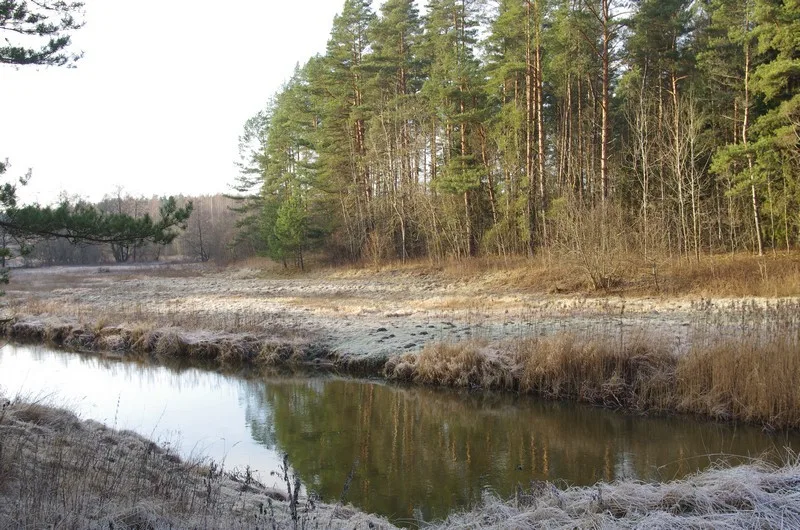 Jara — Jodkovska / Wikimedia Commons / CC BY-SA 4.0