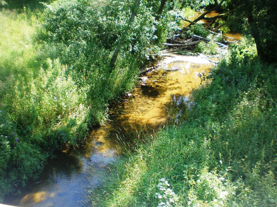 Liaudė — Hugo.arg / Wikimedia Commons / CC BY-SA 3.0