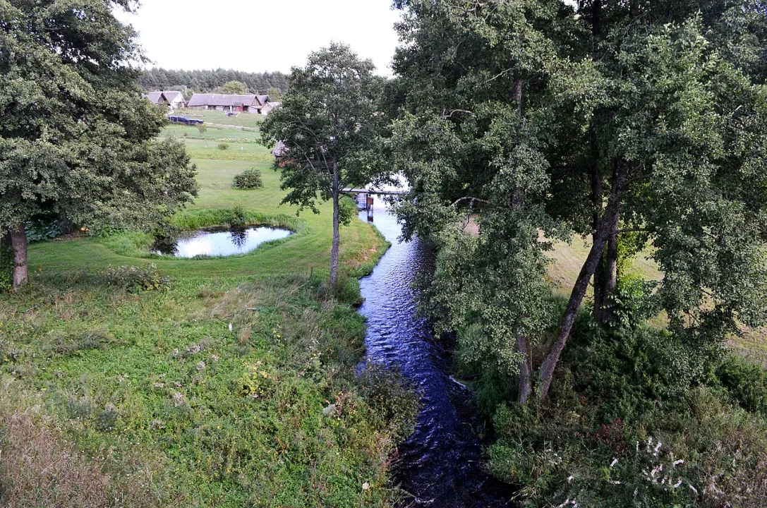 Spengla — Šarūnas Šimkus / Wikimedia Commons / Public domain