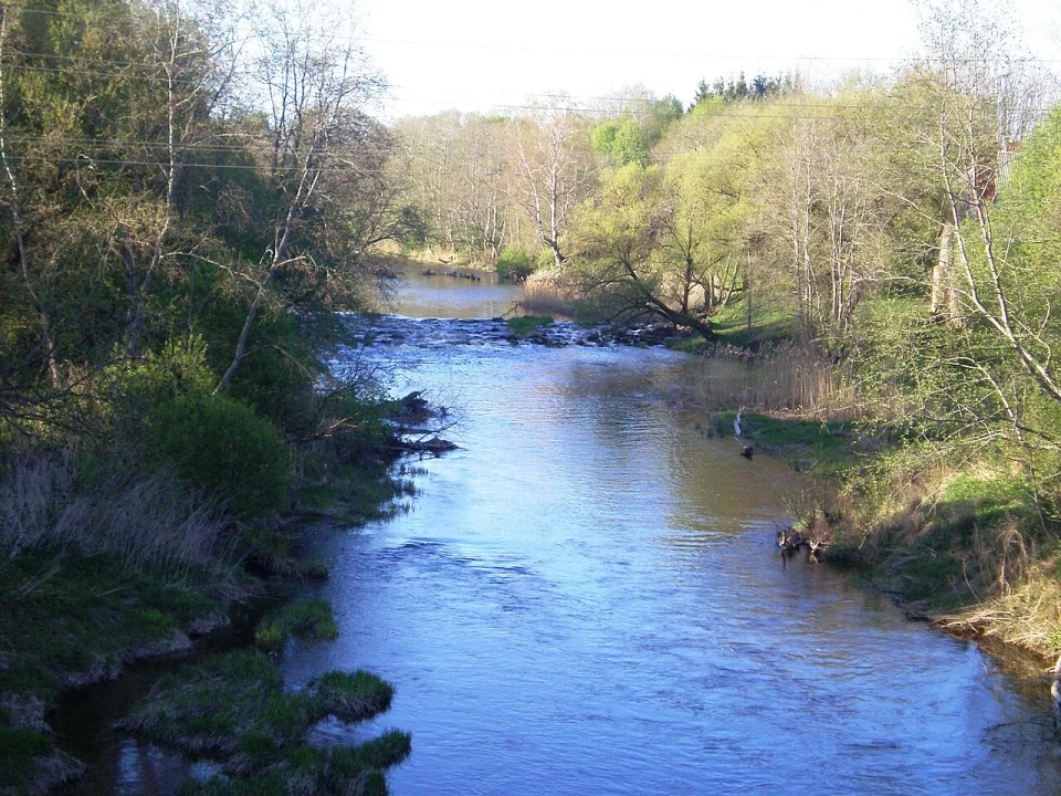 Šušvė — Hugo.arg / Wikimedia Commons / Public domain