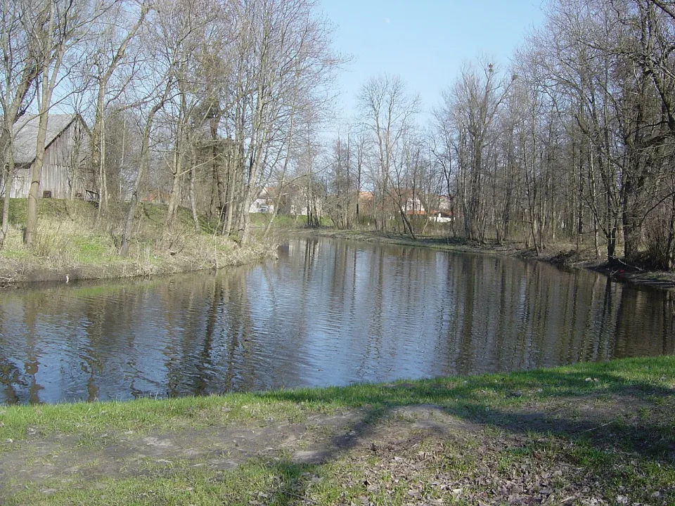 Šyša — Dainora78 at Lithuanian Wikipedia / Wikimedia Commons / Public domain