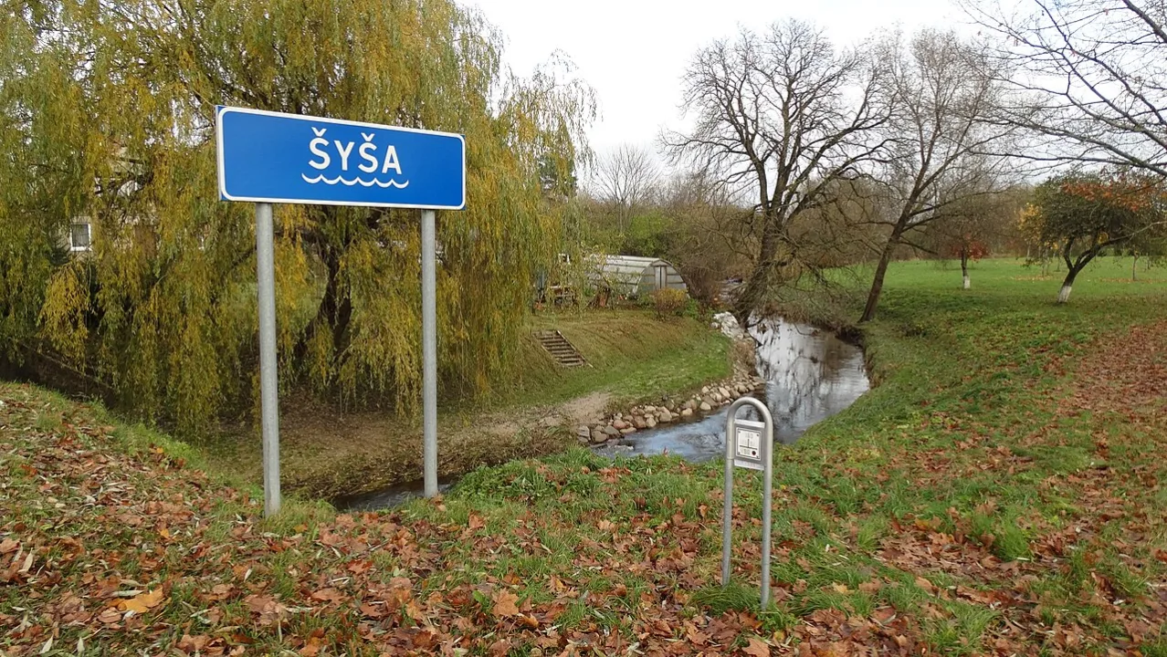 Šyša — Vilensija / Wikimedia Commons / CC BY-SA 3.0